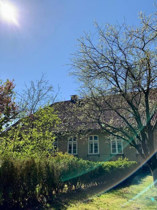 Idyllisches Appartement Nahe Ostsee Und Schlei Rabenkirchen-Faulück Exterior foto